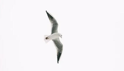 Yes! Six amazing causality books